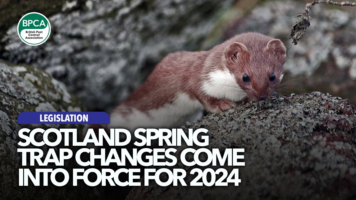 scotland-spring-trap-changes-in-2024-hero